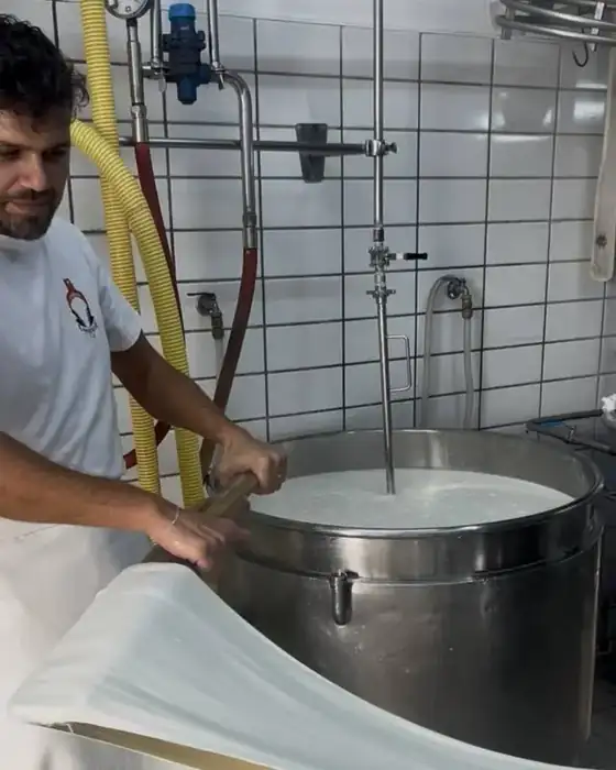 Cheese maker at work in the dairy, stretching the curd
