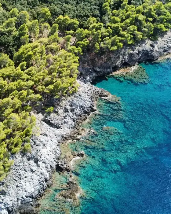 Aerial view of the rocky Maratea coast in the Gulf of Policastro, with pine trees and turquoise water